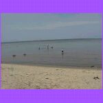 Are We Having Fun Yet.jpg